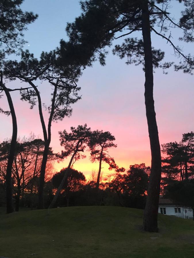 Les Pastourelles Lejlighed Capbreton Eksteriør billede